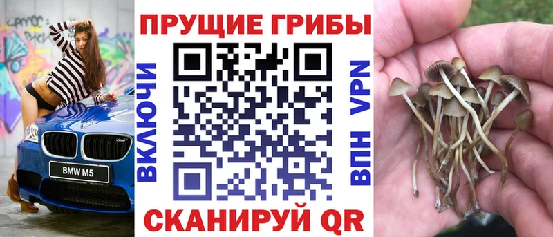 Псилоцибиновые грибы GOLDEN TEACHER  Псков 