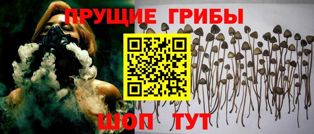 Псилоцибиновые грибы мухоморы  Вход с VPN  Псков 